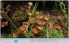 0_ef6b5_f6b69838_orig.png