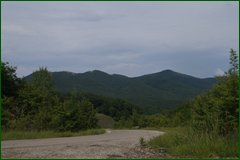 0_e62c5_2f504bf5_orig.png