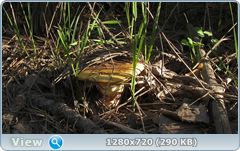 0_107e63_4bef44d0_orig.png