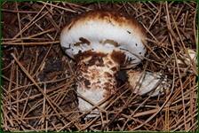 0_f1408_c8007495_orig.jpg