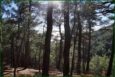 0_f1412_71ddb722_orig.jpg