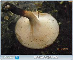 0_11f455_4b34f107_orig.png