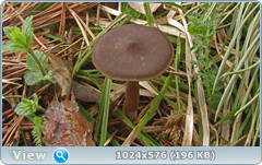 0_1260ea_5046ee13_orig.png