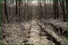 0_f1842_eda910cd_orig.jpg