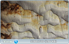 0_115e30_e6ca8bb2_orig.png