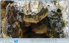 0_115891_18464bba_orig.png