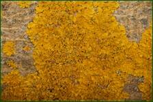 0_f5ae0_25975a0e_orig.jpg