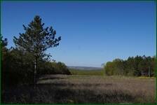 0_f6217_e93dfe7f_orig.jpg