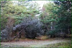 0_134f15_72eec7a7_orig.jpg