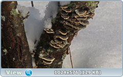 0_12095b_2d9b864b_orig.png