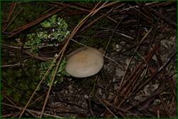 0_f21d5_5abfa81b_orig.jpg