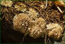 0_ff2b8_b7495a70_orig.jpg