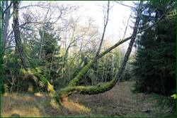 0_134f27_e645ea00_orig.jpg