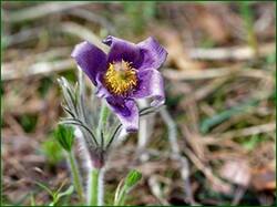 0_14063f_ecb38c5_orig.jpg