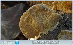 0_115e06_1c9e584b_orig.png