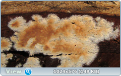 0_120978_62cf8cc6_orig.png