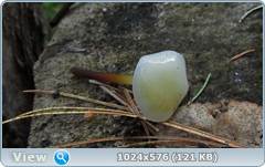 0_127ed9_2560a2ec_orig.png