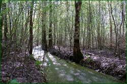 0_140663_15e443d9_orig.jpg