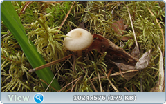0_127ecb_fc43b8f_orig.png
