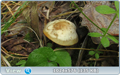 0_127ed3_39db8043_orig.png