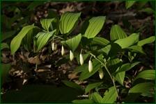 0_f621f_38b75b01_orig.jpg