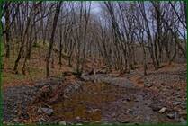 0_f1580_5d38425b_orig.jpg