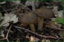 0_f620d_8c73c353_orig.jpg