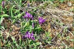 0_13dbf4_22806921_orig.jpg
