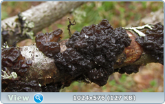 0_1276c2_60810cec_orig.png