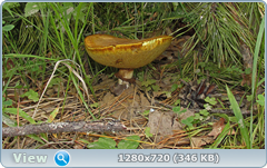 0_e9790_5d89a0a8_orig.png