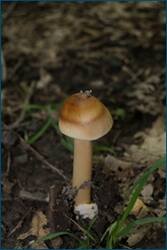 0_d257b_5f112598_orig.jpg