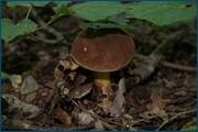 0_d2591_e83300ad_orig.jpg