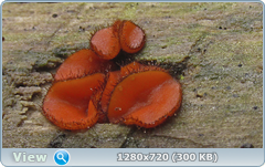 0_e9102_1f596f34_orig.png