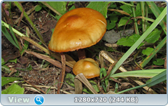 0_e934f_3192b270_orig.png
