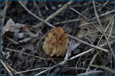 0_cc5b3_77b505bc_orig.jpg