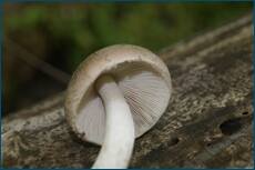 0_ce123_777c872c_orig.jpg