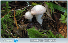 0_edab3_61969991_orig.png