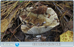 0_ee704_e391ef64_orig.png
