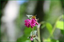 0_14335c_11e4a6e8_orig.jpg