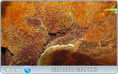 0_e992d_f4b2b4bb_orig.png