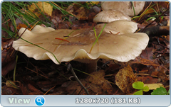 0_f27e4_6b90e629_orig.png