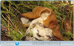 0_fb68c_97dbb0f9_orig.png
