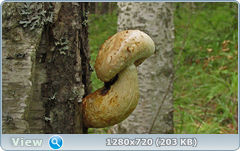 0_ea41a_9b7d79ed_orig.png