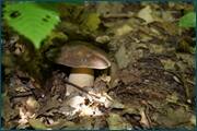 0_d3298_58b4d5ad_orig.jpg