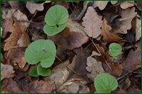 0_c6ae0_217a8c5a_orig.jpg