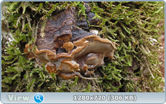 0_f5a06_3cc4ed4e_orig.png