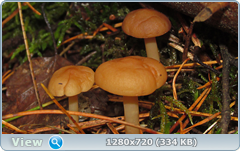 0_e6a0a_42f0e309_orig.png