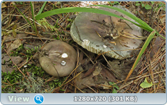 0_eab0b_842084cf_orig.png