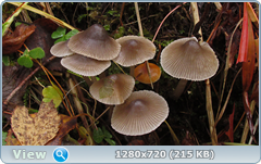 0_f27d6_7114635a_orig.png
