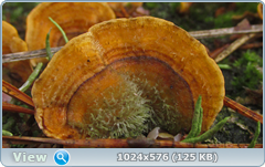 0_12ab9f_93748567_orig.png